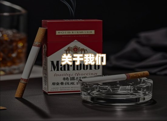 关于金鹤网